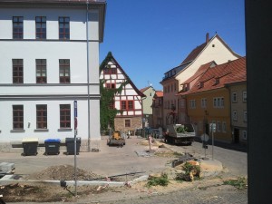 Baumfrevel am Plan